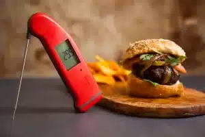 Thermometers and Controllers Thermometers and Controllers