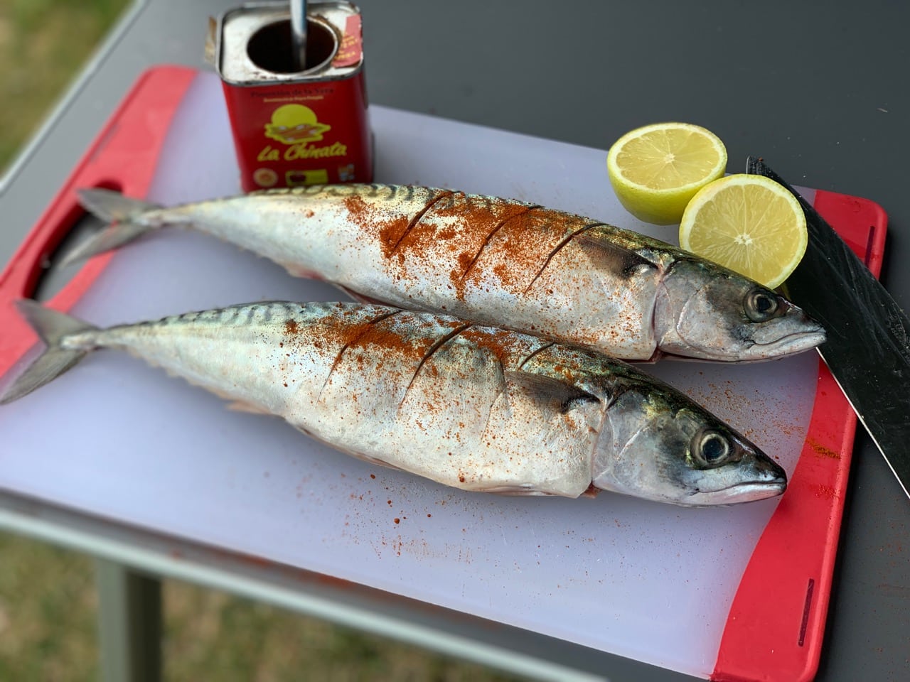 Mackerel