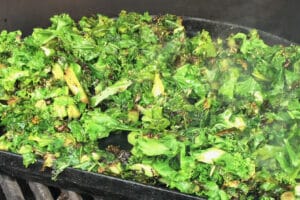 close up photo of Sweet Crispy Kale