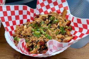 Japanese loaded fries